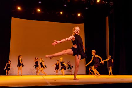 Območna revija plesnih skupin Finesa plesa 2024 (36)